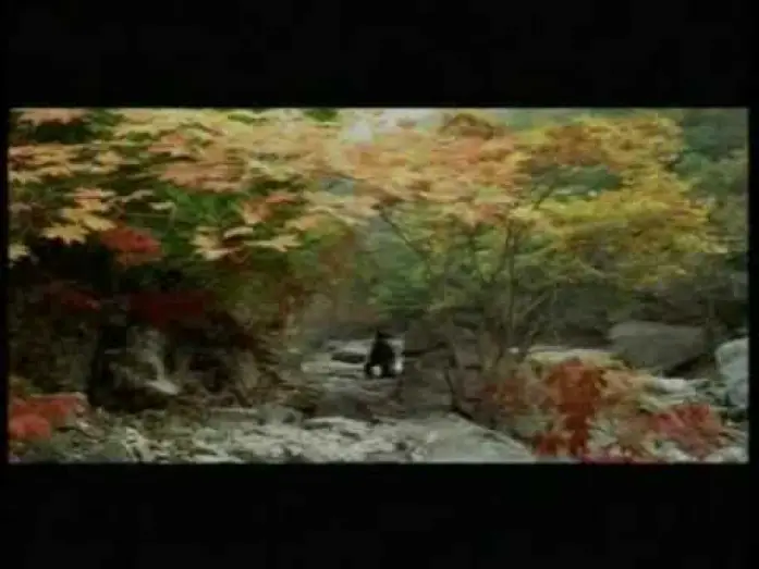 Video for the film Spring, Summer, Fall, Winter... and Spring — Printemps, été, automne, hiver... et printemps - 봄, 여름, 가을, 겨울 그리고 봄