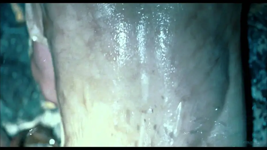 Video for the film The Skin I Live In — La Piel que Habito -  Extrait 3 VOST