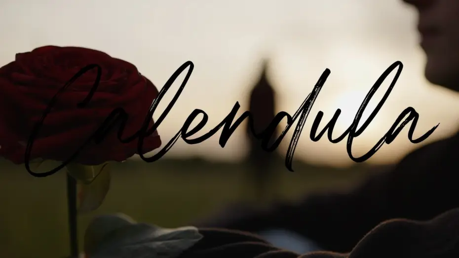 Video for the film Calendula — Calendula