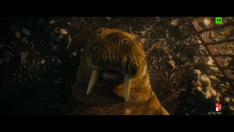 Video for the film Guardians of the Galaxy Vol. 3 — Escena: 'Amigos'