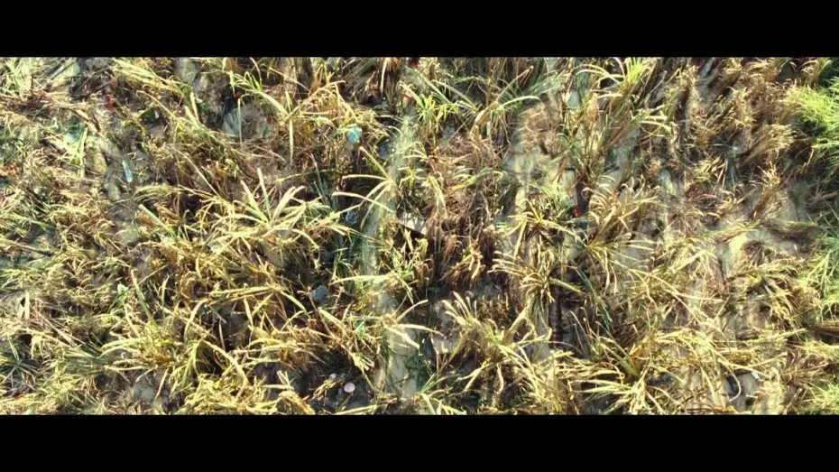 Video for the film The Impossible — Bande-annonce VOSTF HD: The Impossible