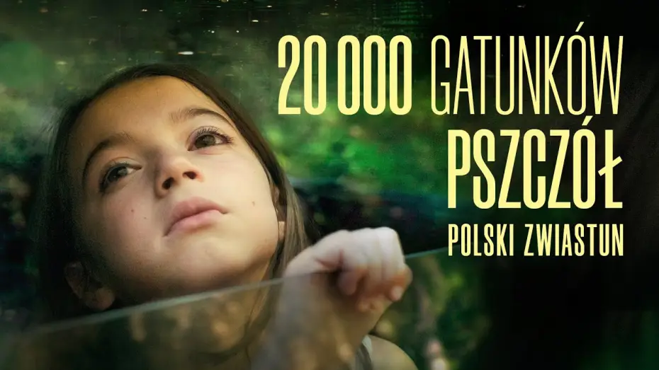 Video for the film 20,000 Species of Bees — Zwiastun PL