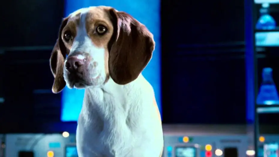 Video for the film Underdog — Underdog - Unbesiegt weil er fliegt - Trailer