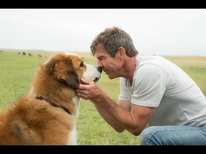 Video for the film A Dog's Purpose — BAILEY – EIN FREUND FÜRS LEBEN - offizieller Trailer