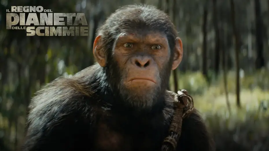Video for the film Kingdom of the Planet of the Apes — Il Regno del Pianeta delle Scimmie | IMAX Trailer | Dall’8 Maggio al Cinema