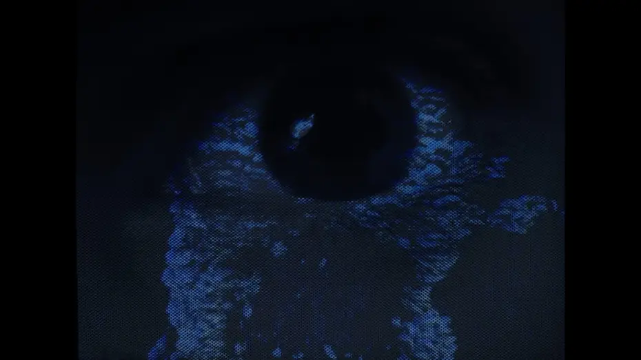Video for the film Traces of Tracking — Traces of Tracking – A Short Film
