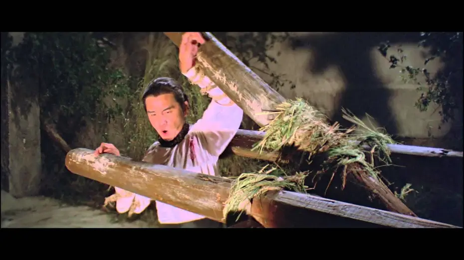 Video for the film Shaolin Mantis — Shaolin Mantis - Trailer
