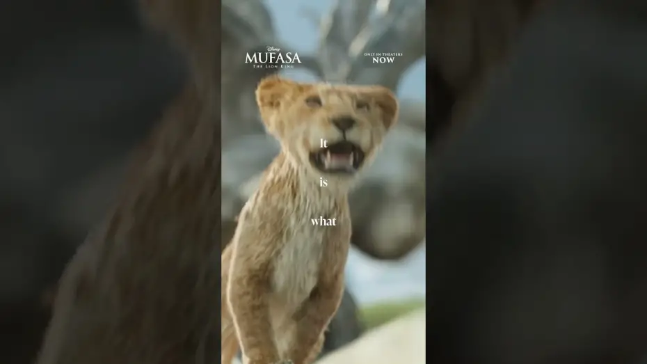 Video for the film Mufasa: The Lion King — In Theaters Now