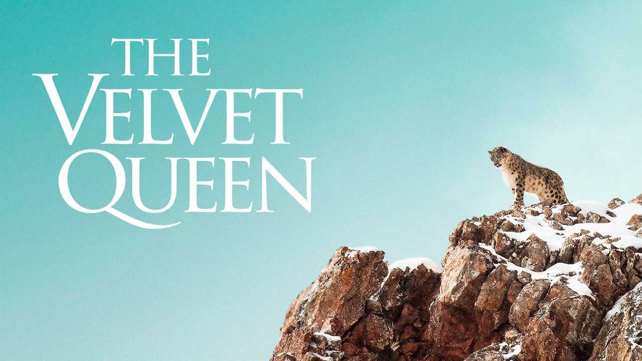 Video for the film The Velvet Queen — The Velvet Queen - Official Trailer - English Sub Title