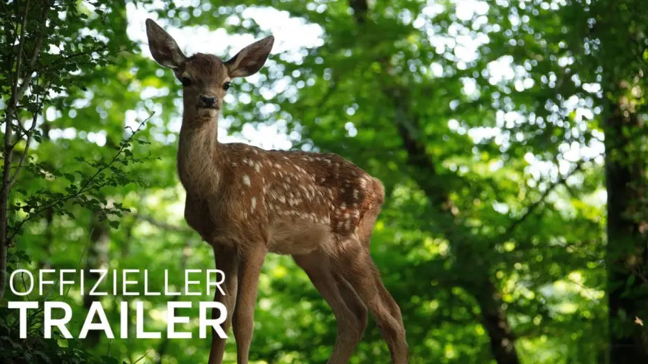 Video for the film Bambi: A Tale of Life in the Woods — Bambi - Eine Lebensgeschichte aus dem Walde  | Trailer (Deutsch / German) | 2025
