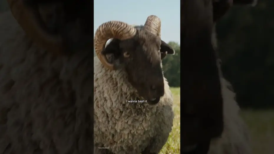 Video for the film The Sheep Detectives — One Month Countdown