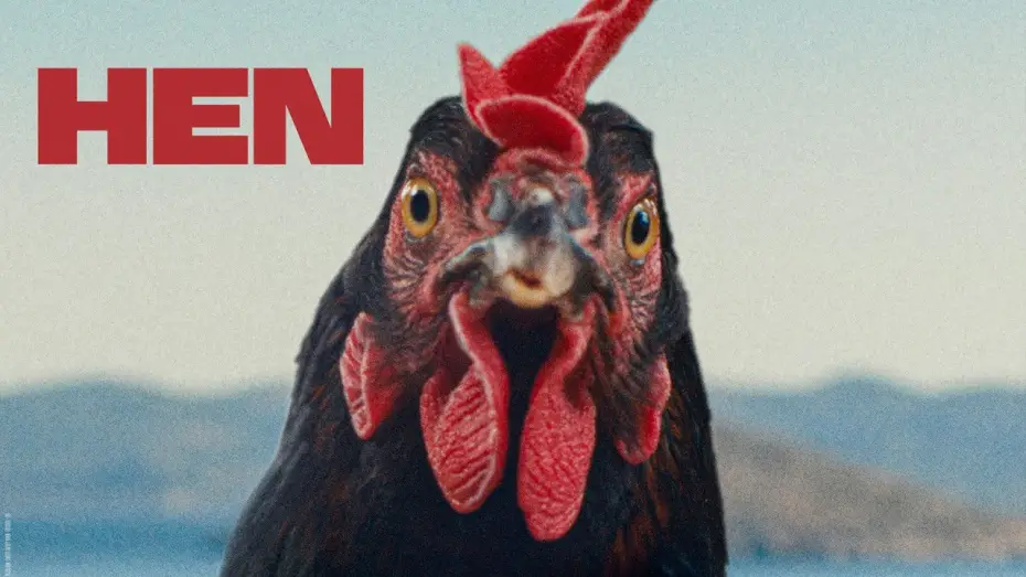 Video for the film Hen — The Hen - Official Trailer