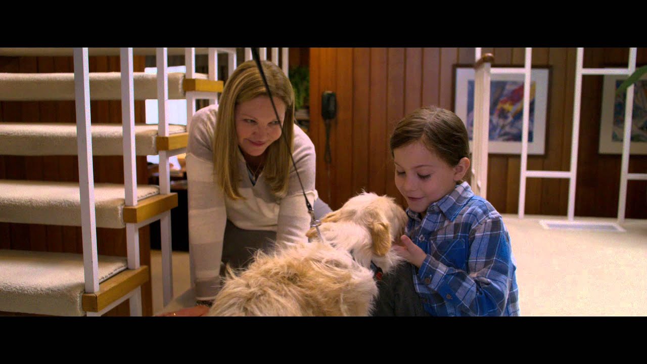 Video for the film Room — Official UK 20" Trailer