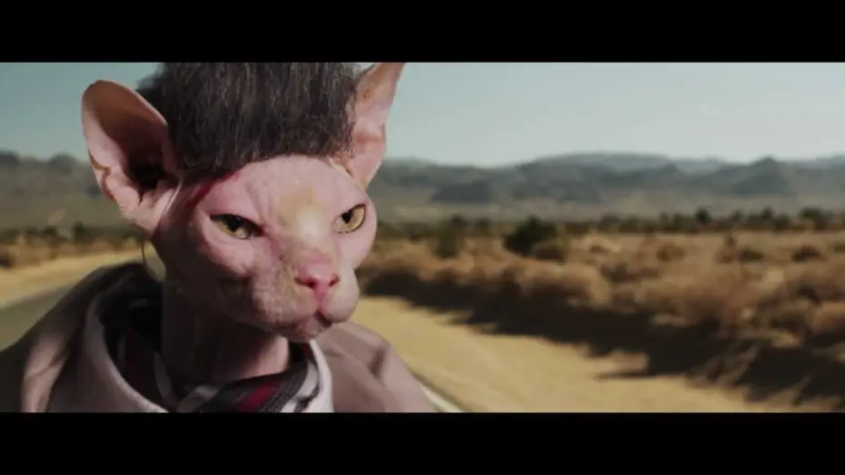 Video for the film Seven Psychopaths — Seven PsychoCATS Trailer HD [Uncensored / NSFW]