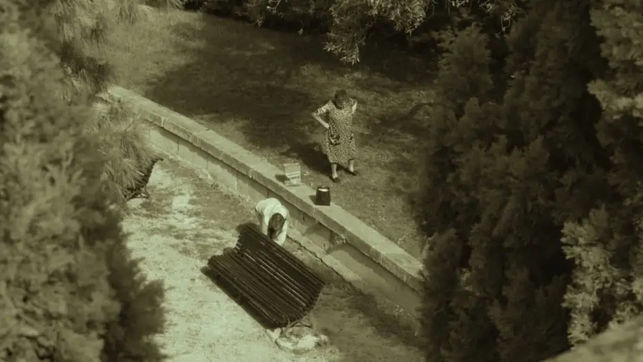 Video for the film Women picking up olives — Mujeres recogiendo olivas (Guillermo Amengual, 2024)
