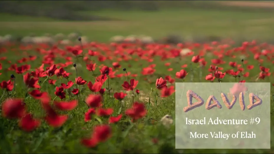 Video for the film David — David | Israel Adventure | Back to The Valley of Elah