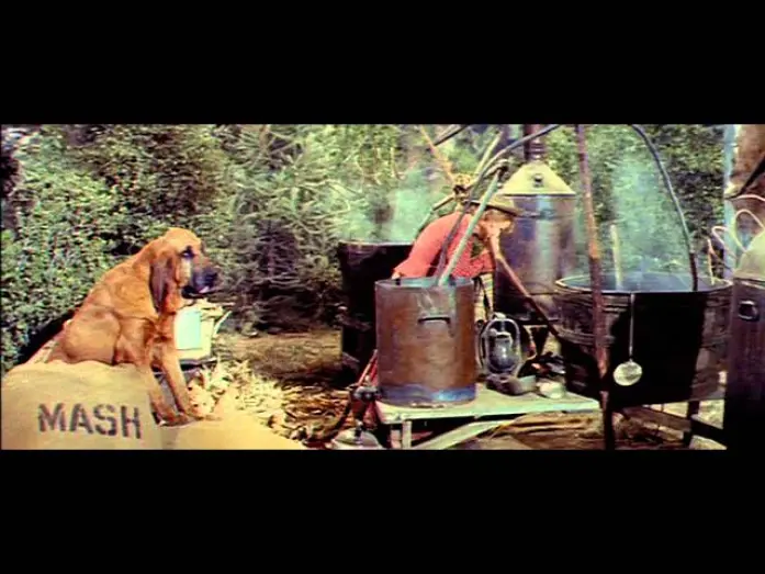 Video for the film Kissin' Cousins — Kissin' Cousins (1964)