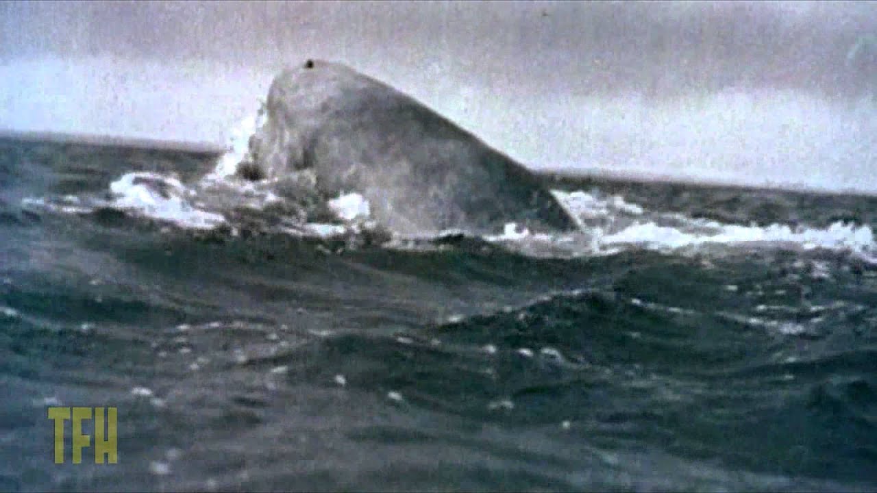 Video for the film Moby Dick — Ernest Dickerson on MOBY DICK