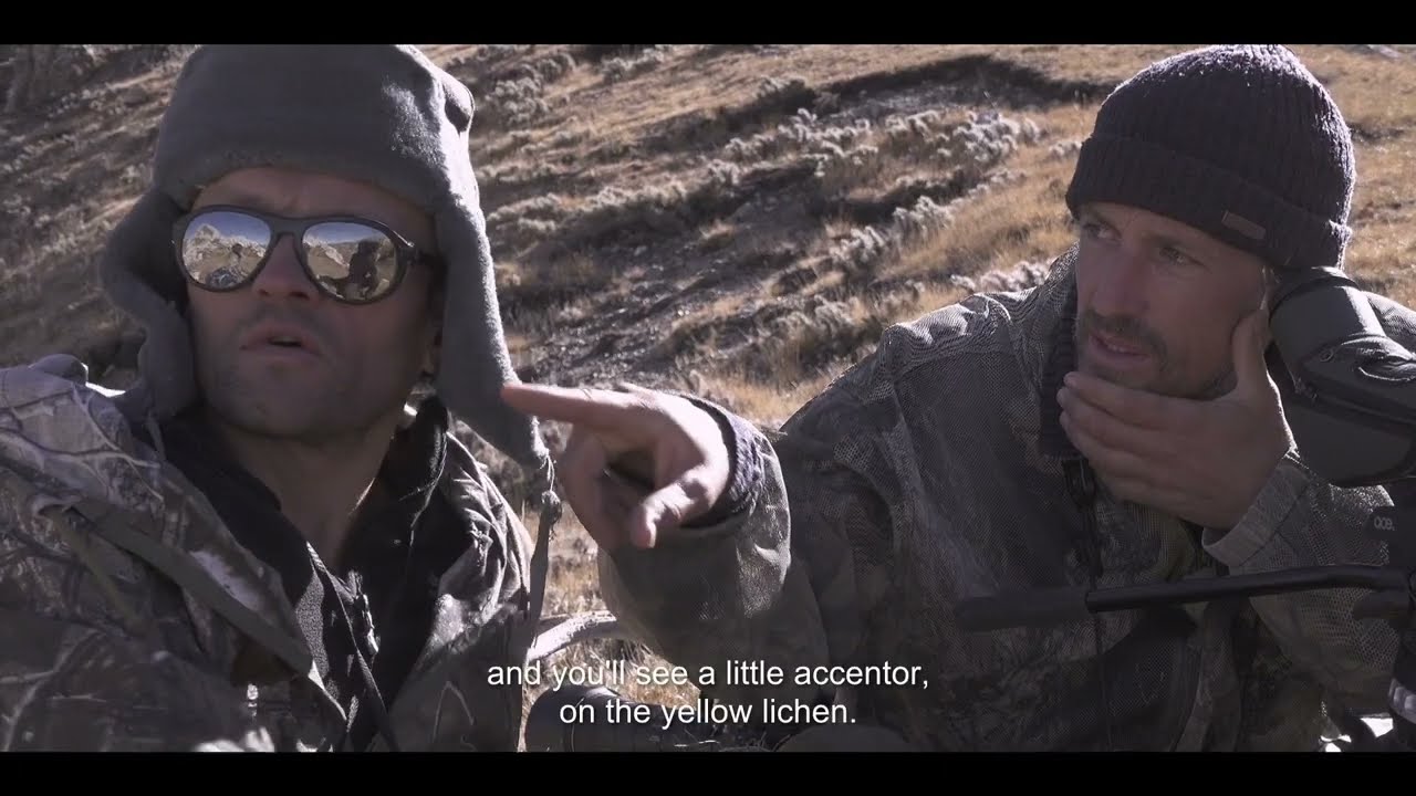 Video for the film The Velvet Queen — 'The Velvet Queen' (2021) - Camoflauge - English Sub Title
