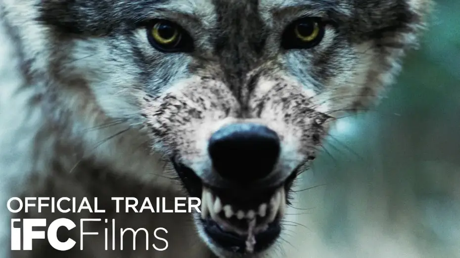 Video for the film Out Come the Wolves — Official Trailer
