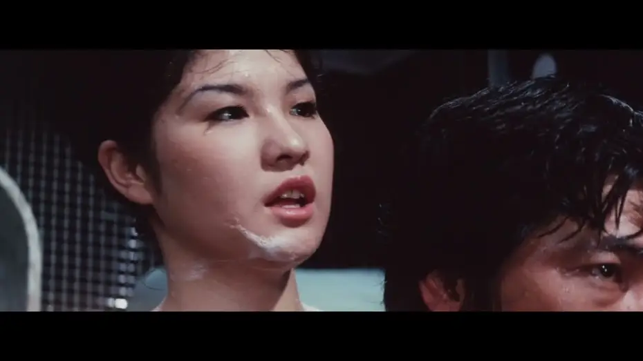 Video for the film Night of the Felines — Night of the Felines (1972) | Trailer | Noboru Tanaka