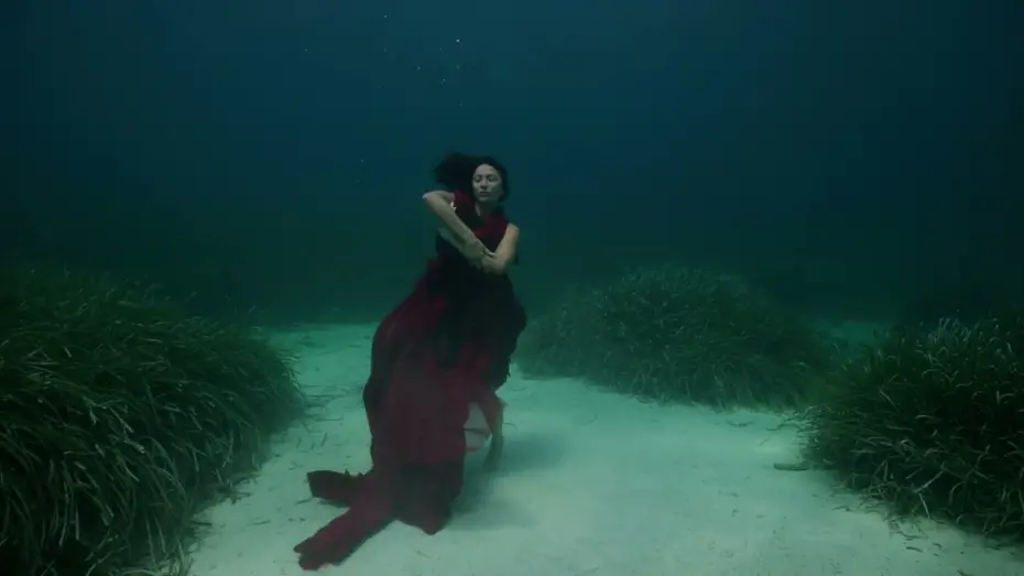 Video for the film The Swimming Diaries — The Swimming Diaries Trailer (2024)