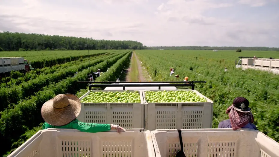 Video for the film Food, Inc. 2 — Sneak Peek