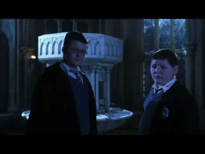 Video for the film Harry Potter and the Chamber of Secrets — Polyjuice Potion