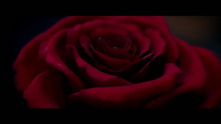 Video for the film Beauty and the Beast — Bande-annonce 1 VOST