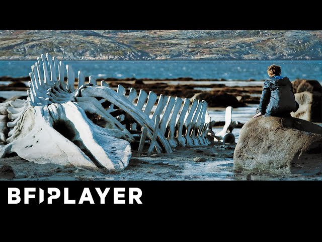 Video for the film Leviathan — Mark Kermode reviews Leviathan (2014) | BFI Player