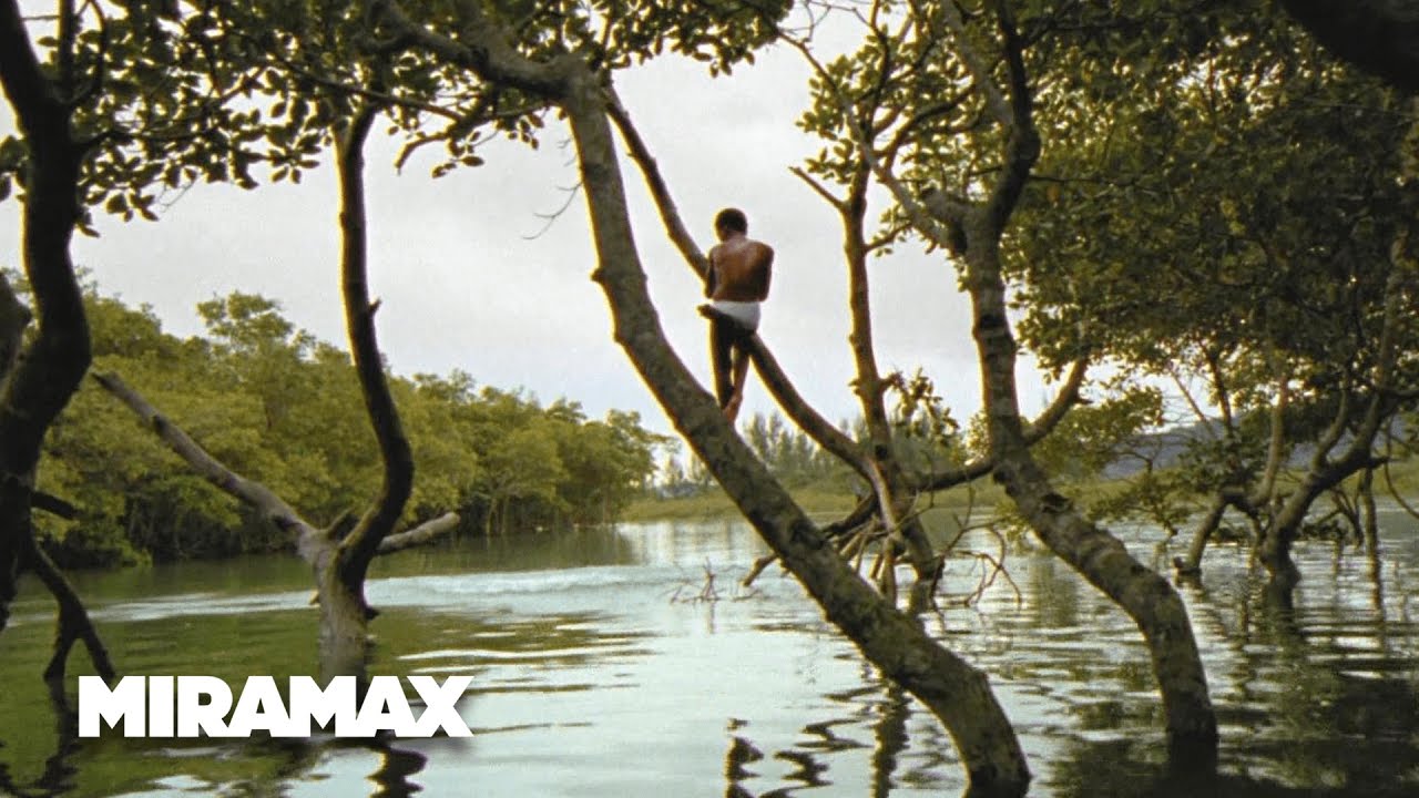 Video for the film City of God — Looking for Paradise