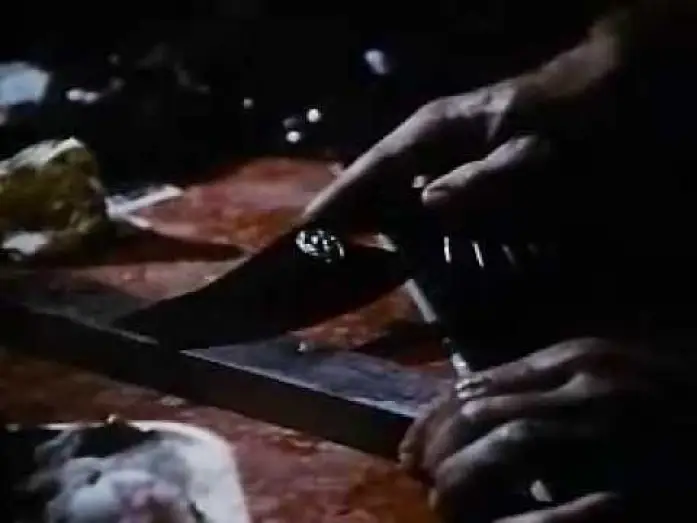 Video for the film Cobra — Cobra - Trailer