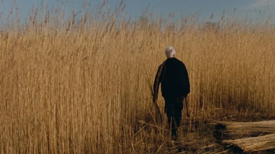 Video for the film Reedland — Reedland (Rietland), un film de Sven Bresser - Trailer