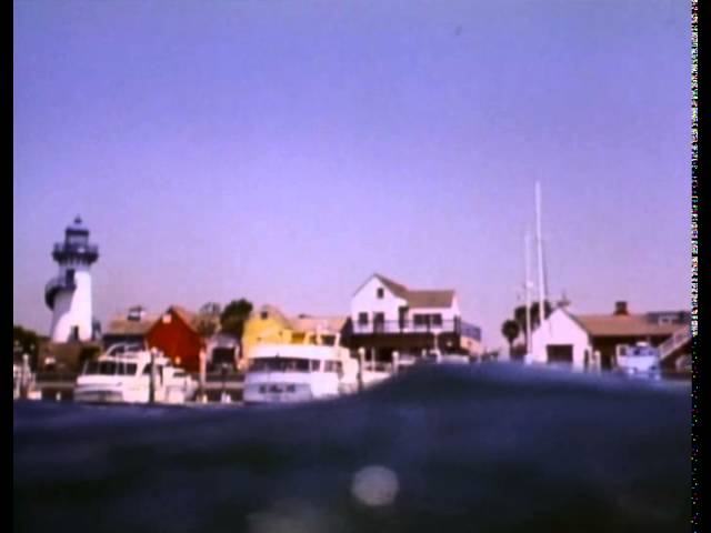 Video for the film Jaws: The Revenge — Trailer