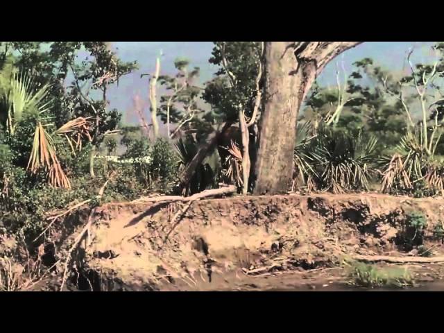 Video for the film Beasts of the Southern Wild — Featurette: "The Story"