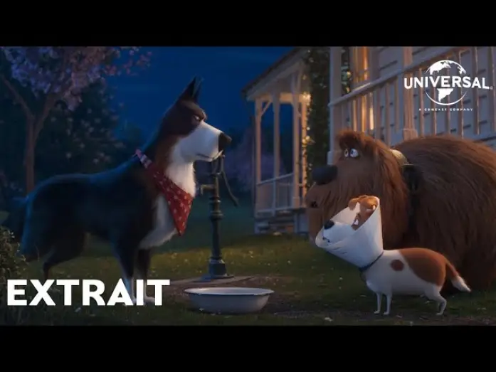 Video for the film The Secret Life of Pets 2 — Comme des Bêtes 2 - Extrait : "Rico donne des conseils" VOST