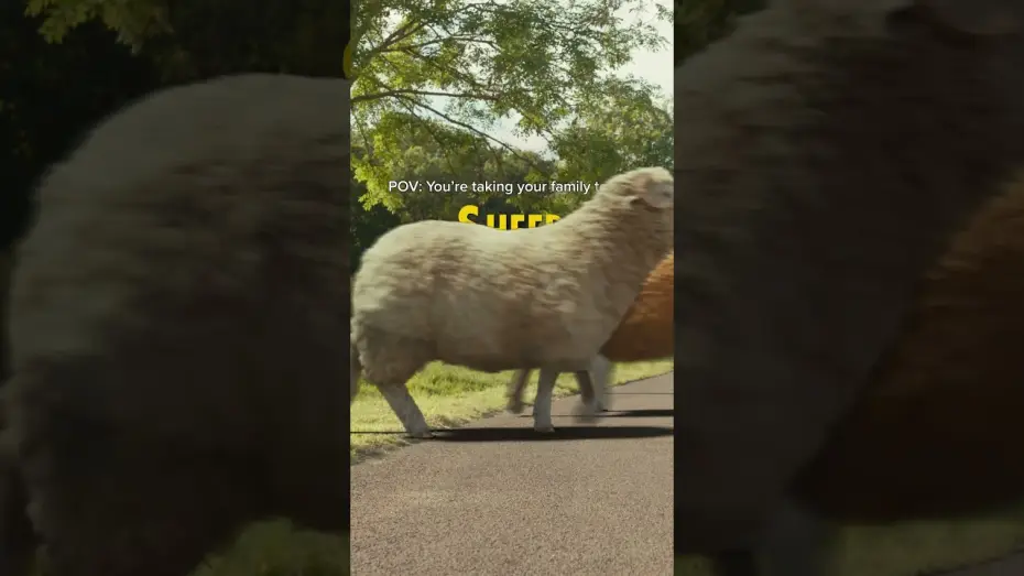 Video for the film The Sheep Detectives — See if you can crack the case this weekend