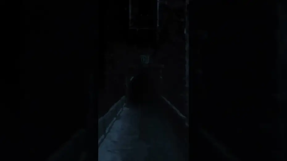 Video for the film Nosferatu — There is a dread storm rising.