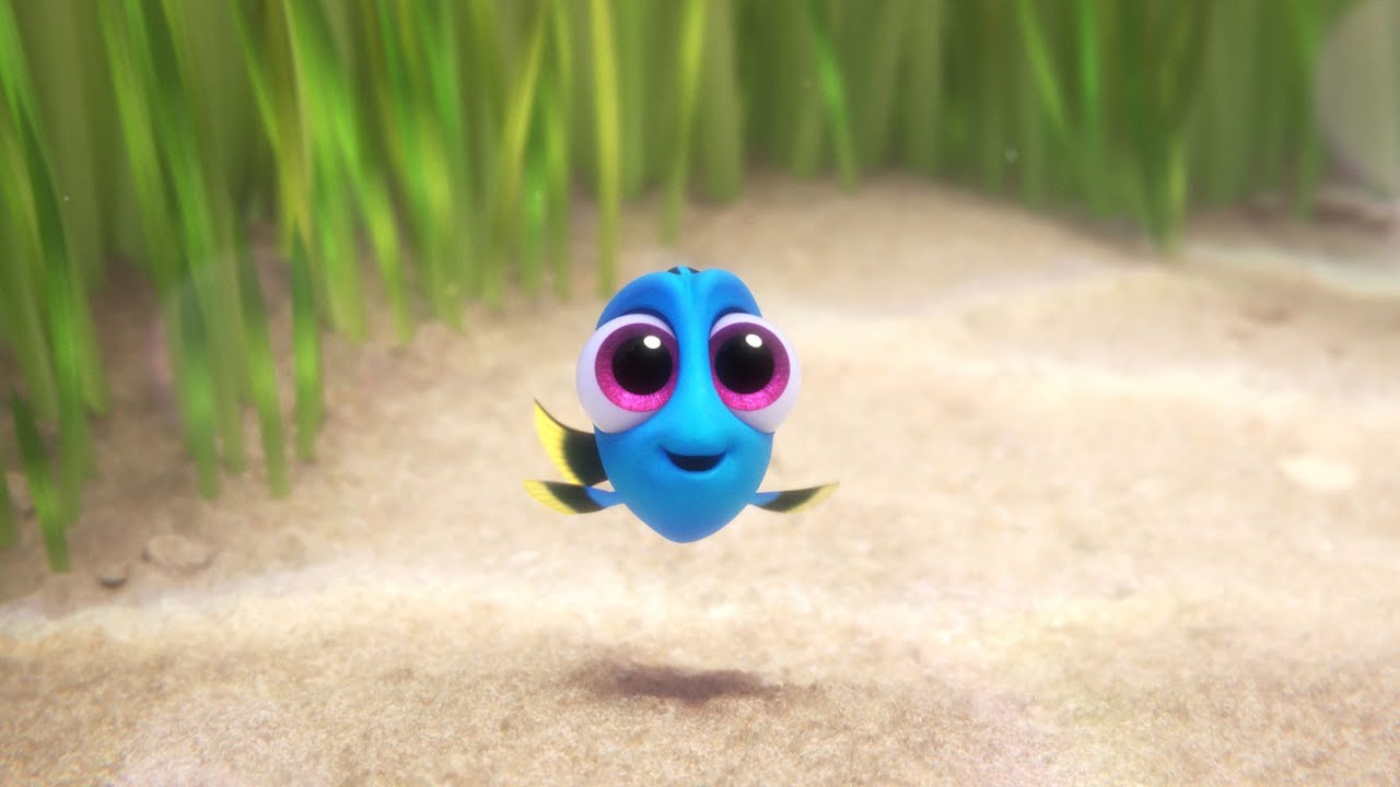 Video for the film Finding Dory — Baby Dory