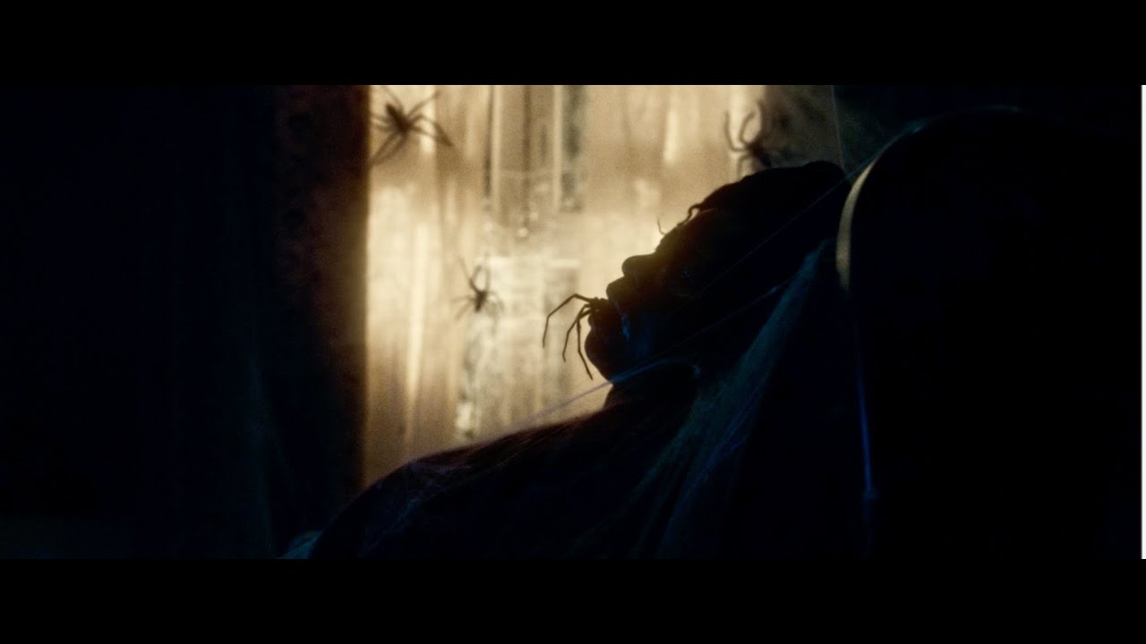 Video for the film Infested — International Teaser