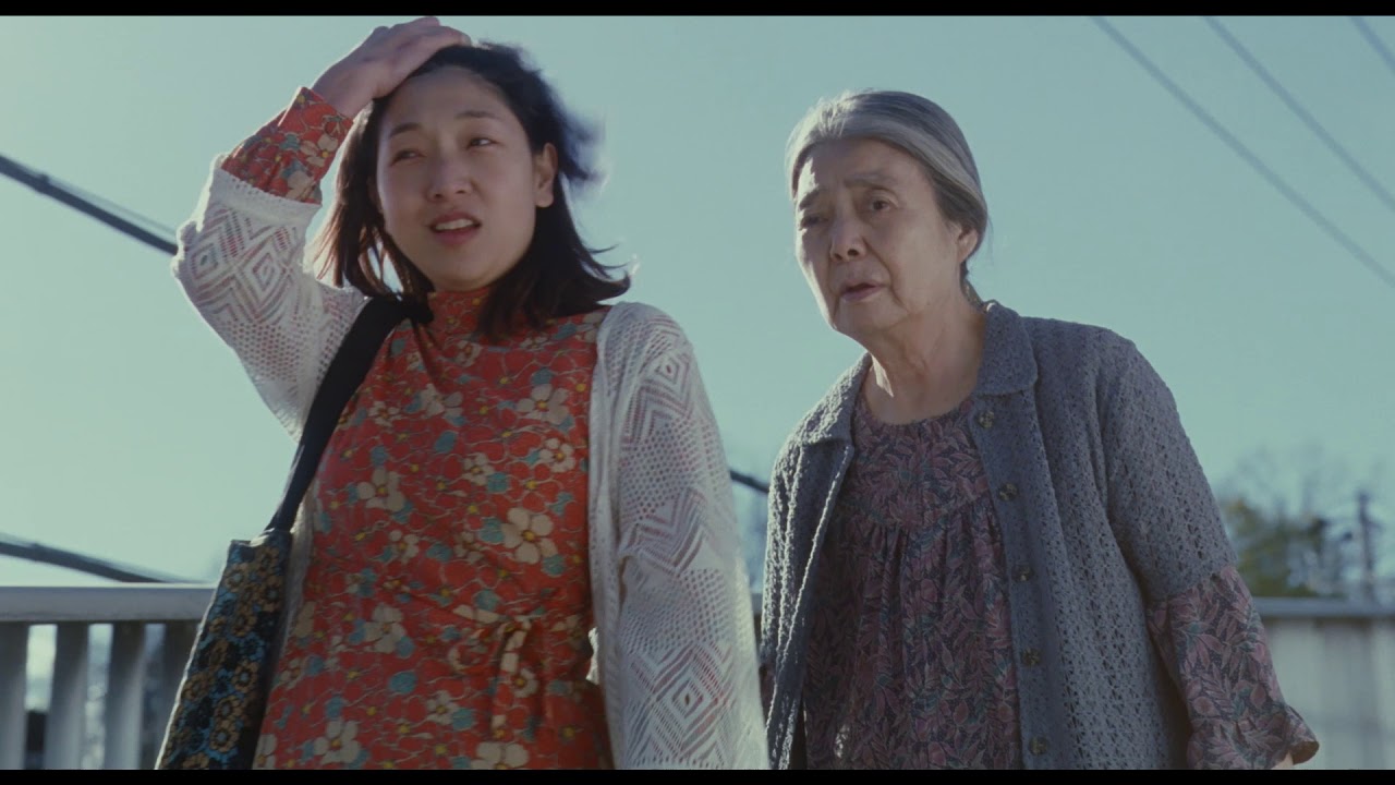 Video for the film Shoplifters — Do You Think She Chose Us