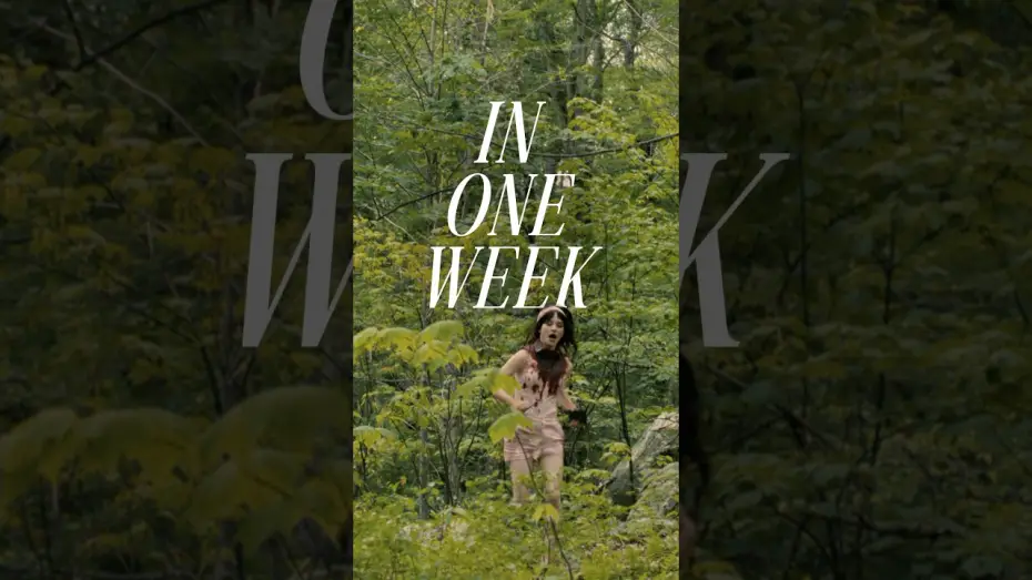 Video for the film Companion — Celebrating one week is only a little obsessive.