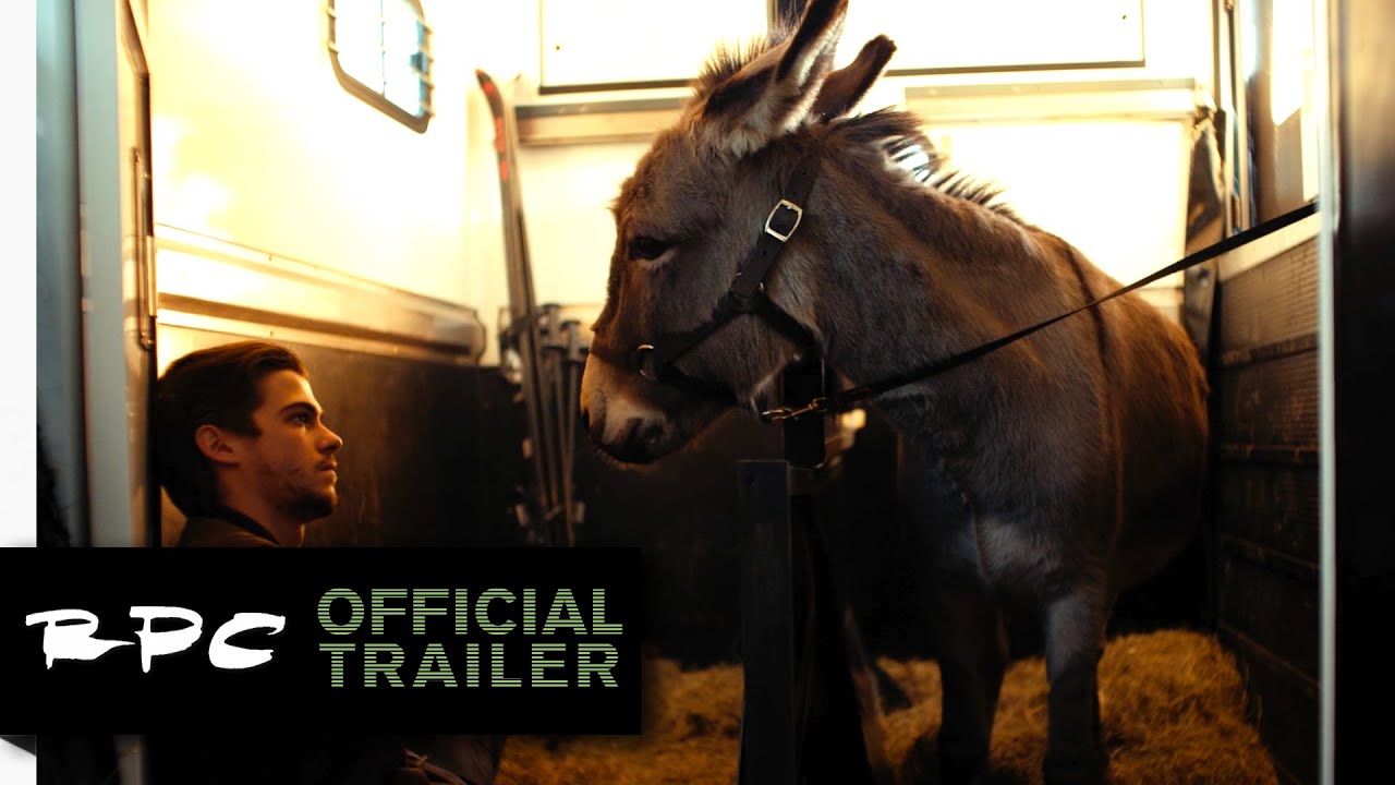 Video for the film EO — Official International Trailer