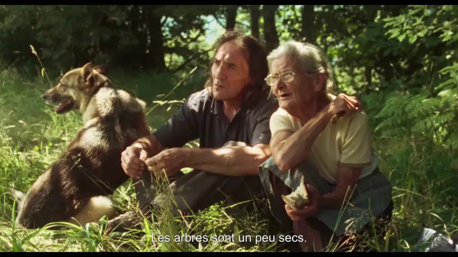 Video for the film Fire Will Come — VIENDRA LE FEU - Bande Annonce VOST