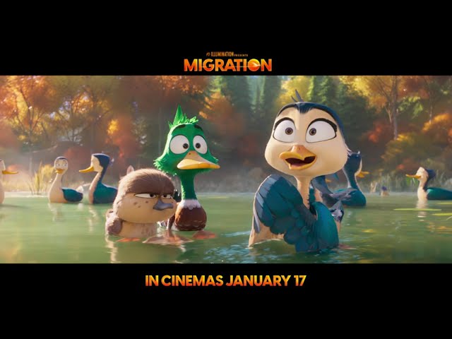 Video for the film Migration — These ducks are in for the wildest ride of their lives.