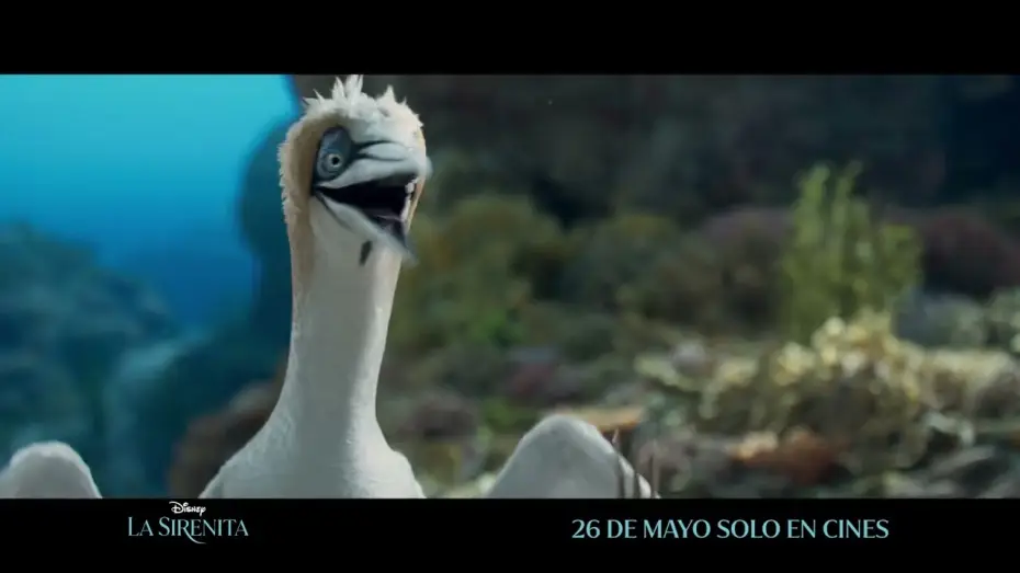 Video for the film The Little Mermaid — Anuncio: '¿Tienes idea de lo que es?'