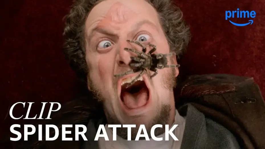 Video for the film Home Alone — Marv’s Spider Scream