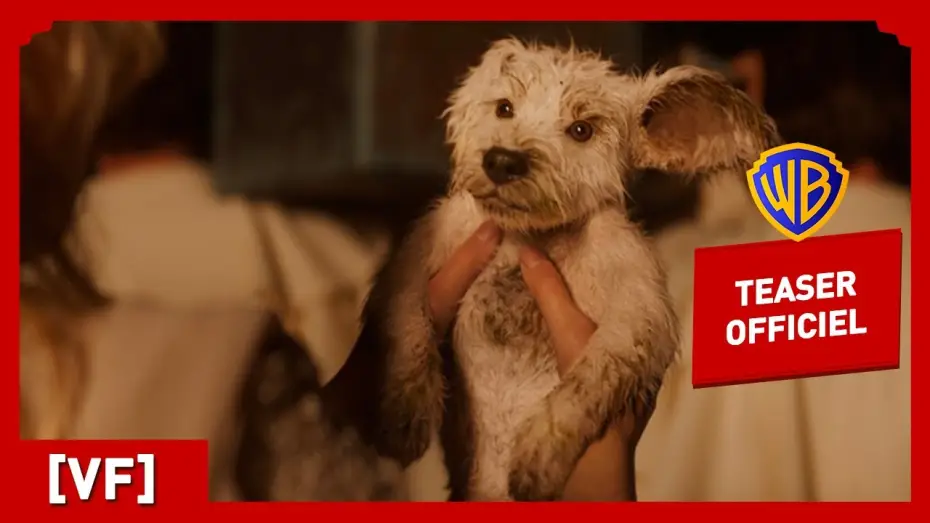 Video for the film Supergirl — Supergirl | Teaser Krypto (VF) | Milly Alcock, Jason Momoa