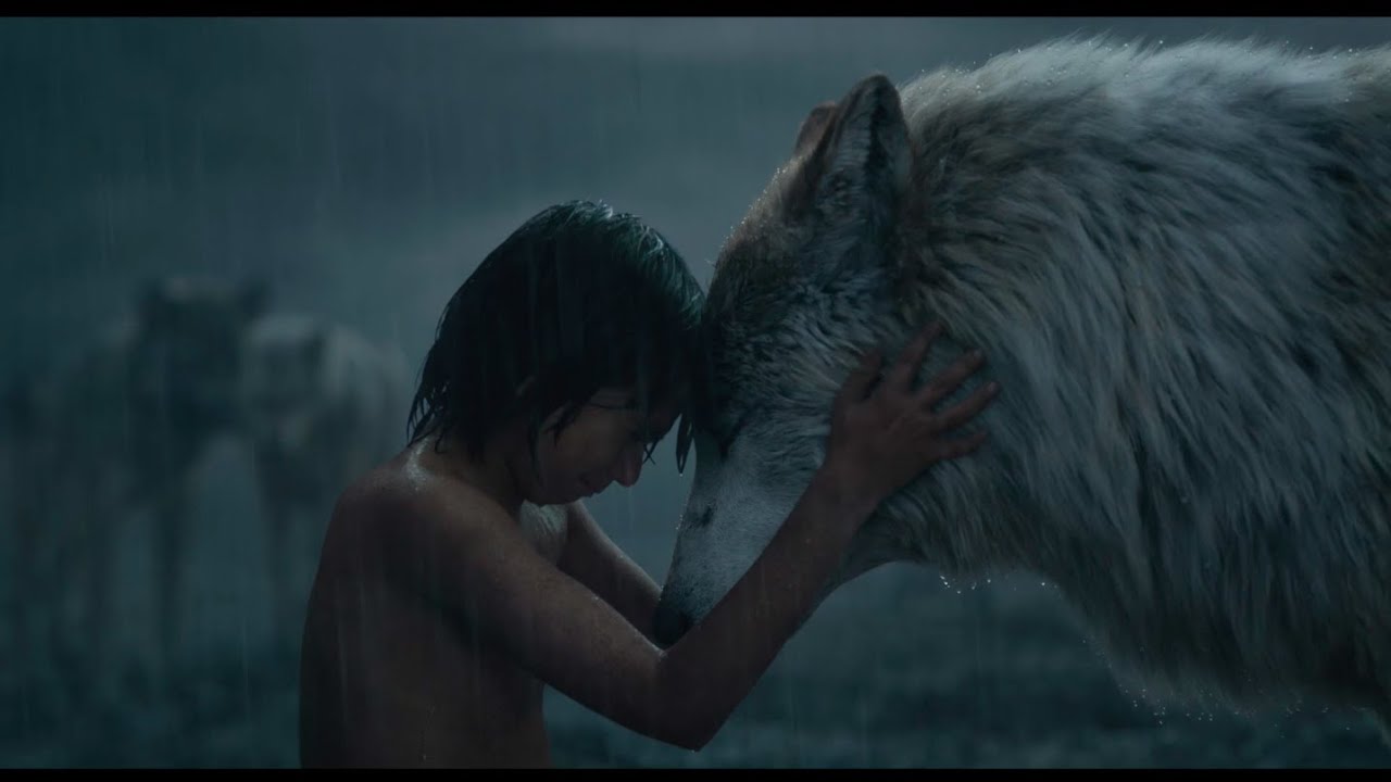 Video for the film The Jungle Book — Mowgli Leaves the Pack