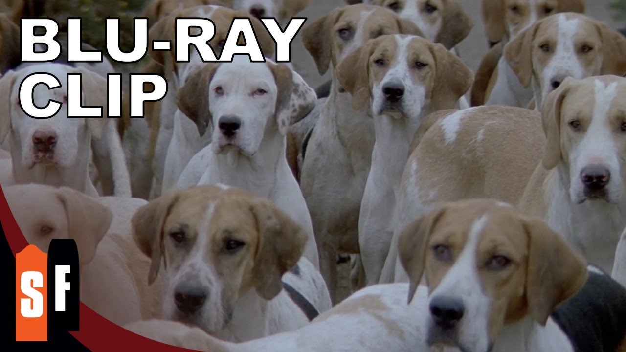 Video for the film The Final Conflict — Puppy Overload